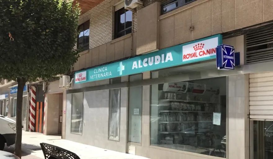 Cómo elegir una caja de luz en Madrid: frontal, óptica LED y errores a evitar